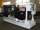 Generatore diesel raffreddato ad acqua di Perkins 125 KVA un industriale di 100 chilowatt