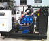 Generatore raffreddato ad acqua 40kw del gas naturale a 800kw con l'alternatore di Stamford