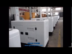Generatore diesel Perkins da 30 kVA