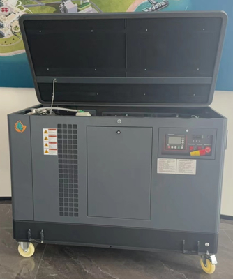 USA Silent 10kw 15kw 20kw motore EPA LPG LNG generatore di gas naturale