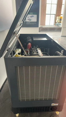 USA Silent 10kw 15kw 20kw motore EPA LPG LNG generatore di gas naturale