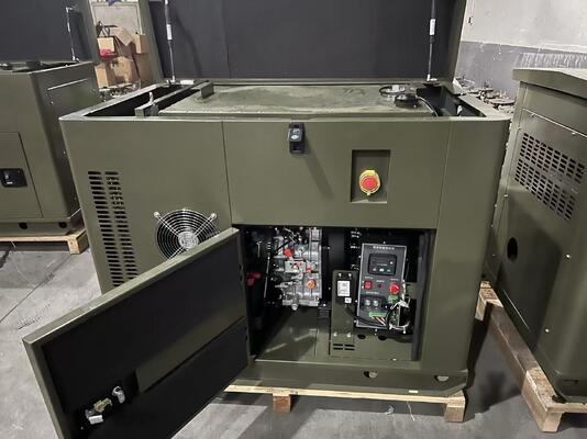 Generatore CC da 48V da 12kw con motore diesel da 200A 250A 300A per la ricarica di batterie solari