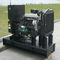 piccolo Yangdong Genset generatore diesel di 20kw 1800rpm con il sistema di allarme automatico ATS