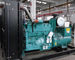 un generatore silenzioso di 313 di KVA Cummins chilowatt di potere diesel 250