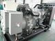 Adeguamento diesel raffreddato ad acqua dell'auto del generatore 200kva di 1106A-70TAG4 Perkins