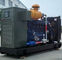 Candela diesel alimentata a gas naturale del sistema di accensione di elettricità 200kva ECU del generatore di Genset