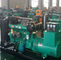 Interruttore di Weifang Ricardo 70kva Genset Diesel Generator ABB